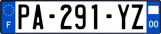 PA-291-YZ