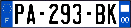 PA-293-BK