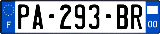 PA-293-BR