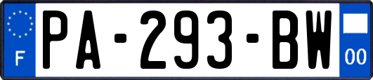 PA-293-BW