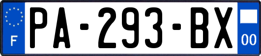 PA-293-BX