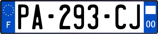 PA-293-CJ