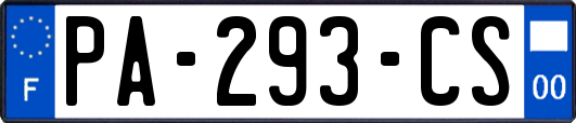 PA-293-CS