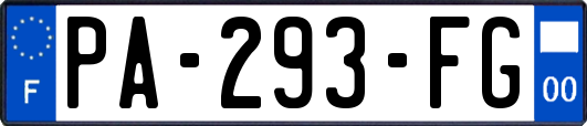 PA-293-FG