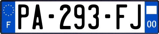 PA-293-FJ