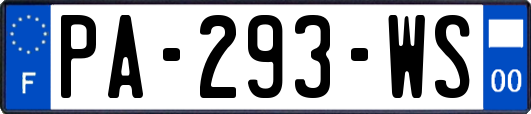 PA-293-WS