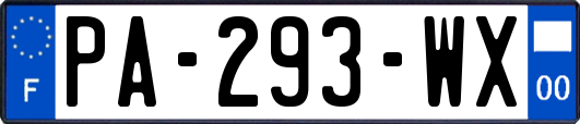 PA-293-WX
