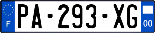 PA-293-XG