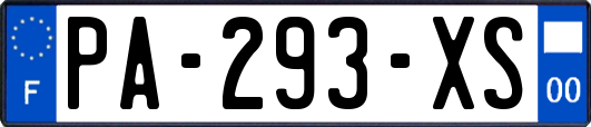PA-293-XS
