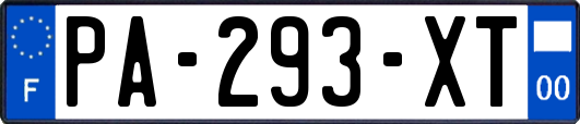PA-293-XT