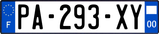 PA-293-XY