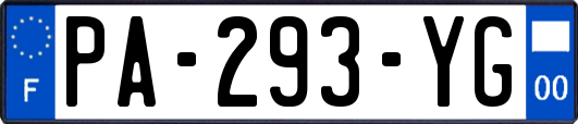 PA-293-YG