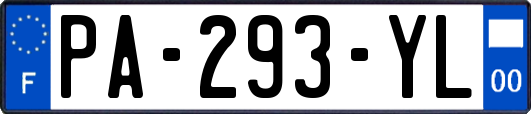 PA-293-YL
