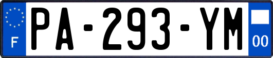 PA-293-YM