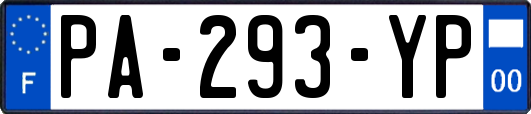 PA-293-YP