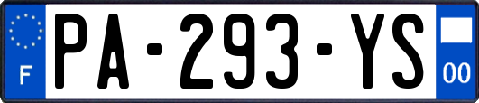 PA-293-YS