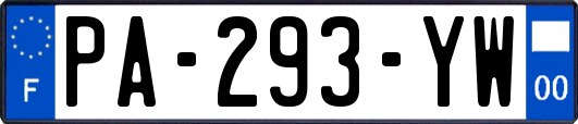 PA-293-YW