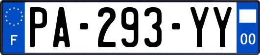PA-293-YY
