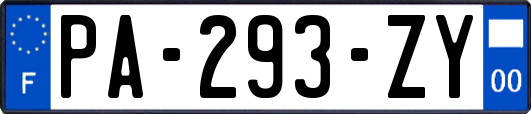PA-293-ZY