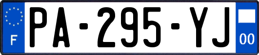 PA-295-YJ