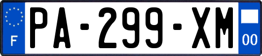 PA-299-XM