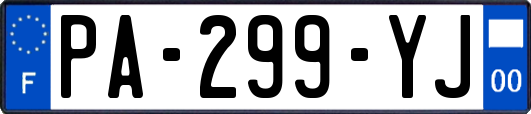 PA-299-YJ