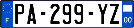 PA-299-YZ