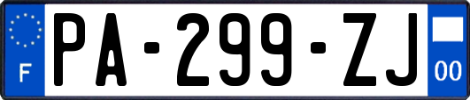 PA-299-ZJ