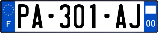 PA-301-AJ