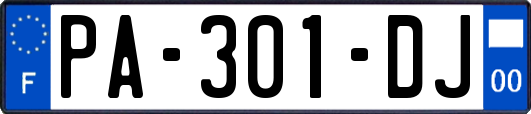 PA-301-DJ