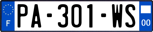 PA-301-WS