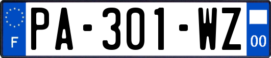 PA-301-WZ