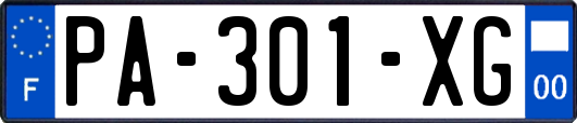 PA-301-XG