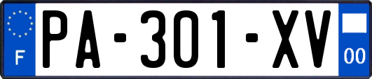 PA-301-XV