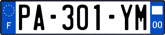 PA-301-YM