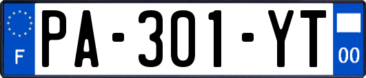 PA-301-YT