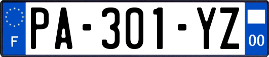 PA-301-YZ
