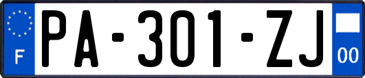 PA-301-ZJ