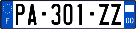 PA-301-ZZ