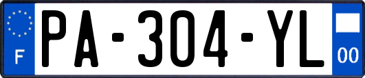 PA-304-YL