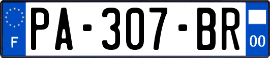 PA-307-BR