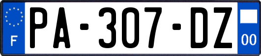 PA-307-DZ