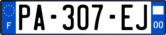 PA-307-EJ
