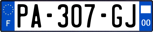 PA-307-GJ