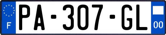 PA-307-GL