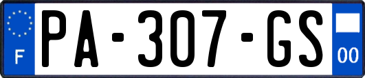PA-307-GS