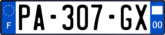 PA-307-GX