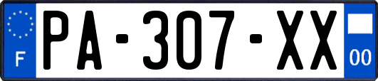 PA-307-XX