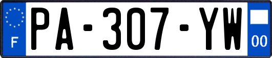 PA-307-YW