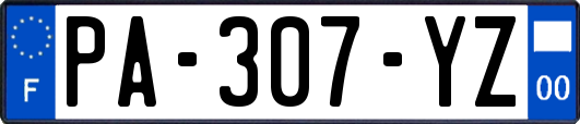PA-307-YZ